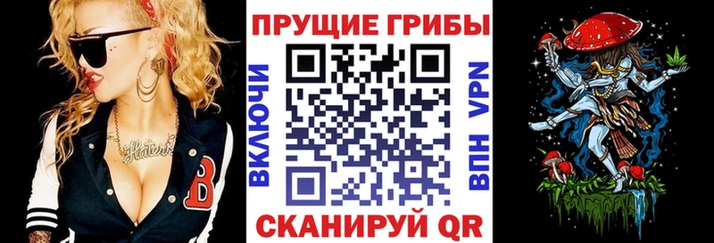 Галлюциногенные грибы GOLDEN TEACHER  купить наркотик  blacksprut ONION  это наркотические препараты  Калтан 
