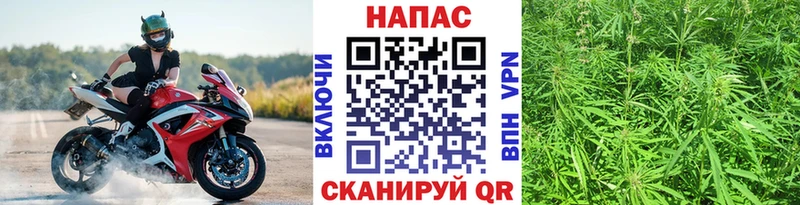 Конопля AK-47  сколько стоит  Калтан 